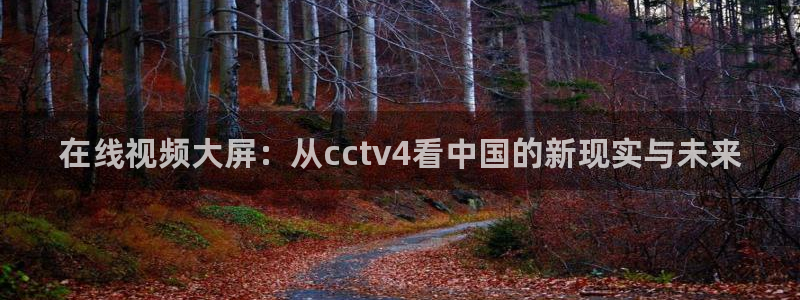 鲸鱼体育免费直播：在线视频大屏：从cctv4看中国的新现实与未来
