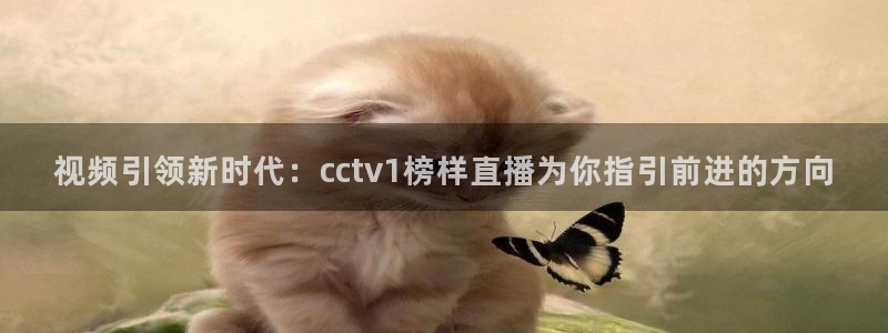鲸鱼体育网址