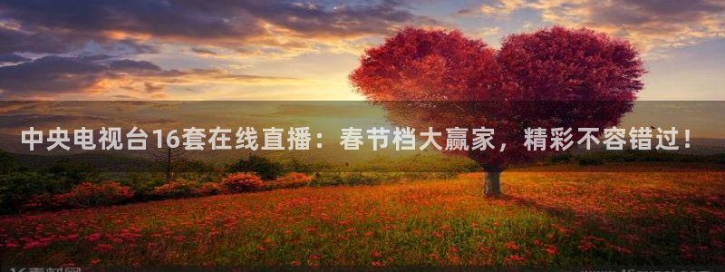 鲸鱼体育比赛直播