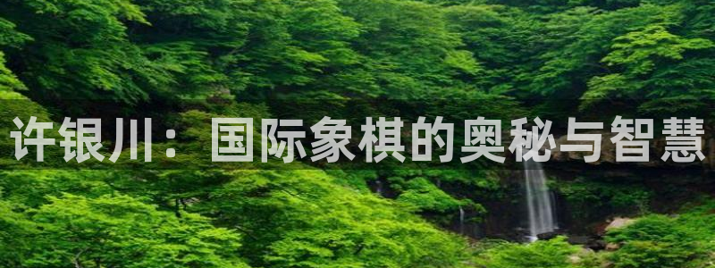 鲸鱼体育nba直播在线观看免费
