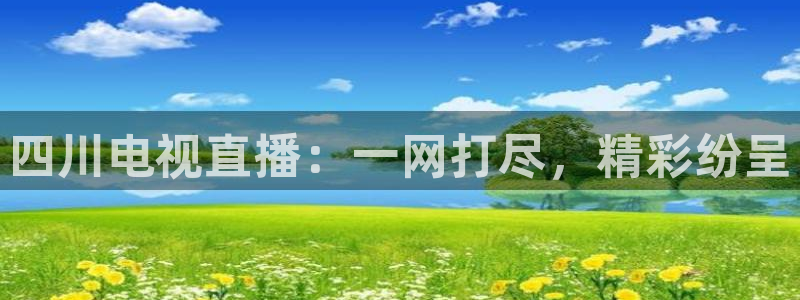 nba鲸鱼体育